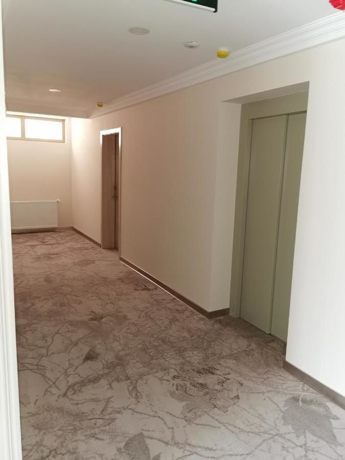 Отель Pensiunea JOJO Imperial Resort&Spa Бэиле-Еркулане-34