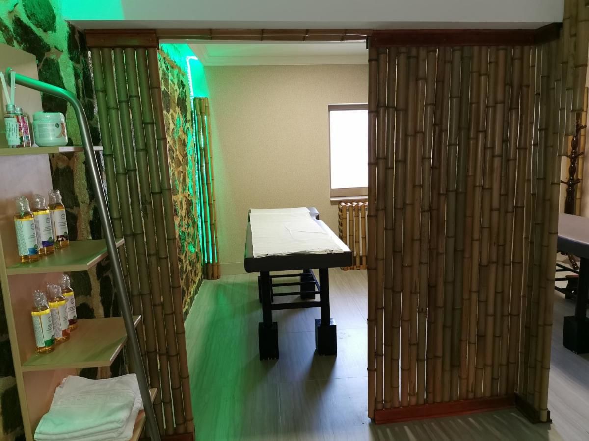 Отель Pensiunea JOJO Imperial Resort&Spa Бэиле-Еркулане-35
