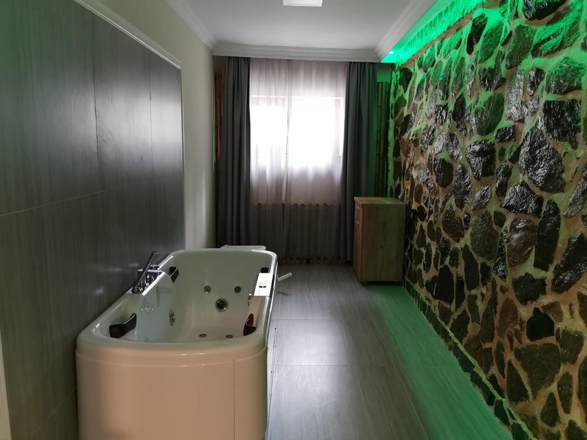 Отель Pensiunea JOJO Imperial Resort&Spa Бэиле-Еркулане-36