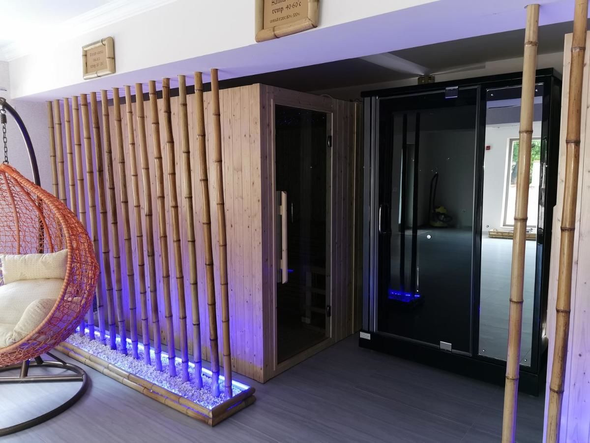 Отель Pensiunea JOJO Imperial Resort&Spa Бэиле-Еркулане-38