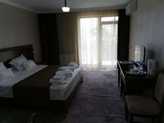 Отель Pensiunea JOJO Imperial Resort&Spa Бэиле-Еркулане Апартаменты Делюкс-4