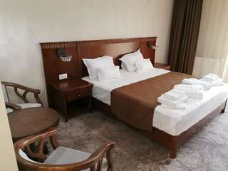 Отель Pensiunea JOJO Imperial Resort&Spa Бэиле-Еркулане Двухместный номер Делюкс с 1 кроватью или 2 отдельными кроватями-1