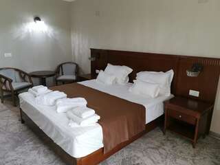 Отель Pensiunea JOJO Imperial Resort&Spa Бэиле-Еркулане Двухместный номер Делюкс с 1 кроватью или 2 отдельными кроватями-2