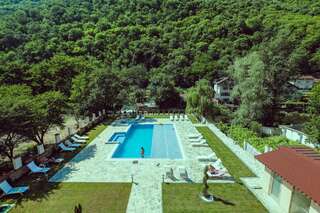 Отель Pensiunea JOJO Imperial Resort&Spa Бэиле-Еркулане-3