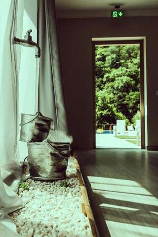 Отель Pensiunea JOJO Imperial Resort&Spa Бэиле-Еркулане-5