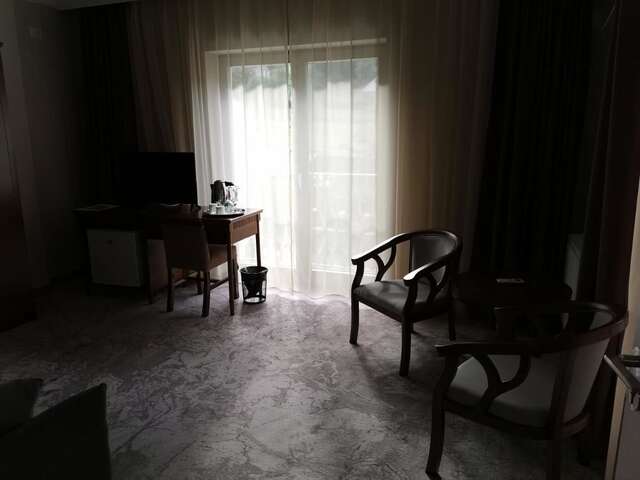 Отель Pensiunea JOJO Imperial Resort&Spa Бэиле-Еркулане-38